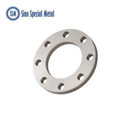Hastelloy Alloy B2 DIN 2573 2576 2502 2503 Flanges Flat For Welding