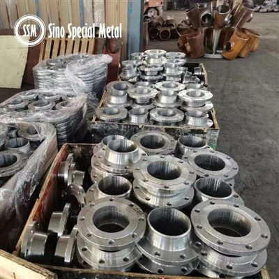 WNR 2.4600 Hastelloy B2 ASME B16.36 250-500 Flange AARH