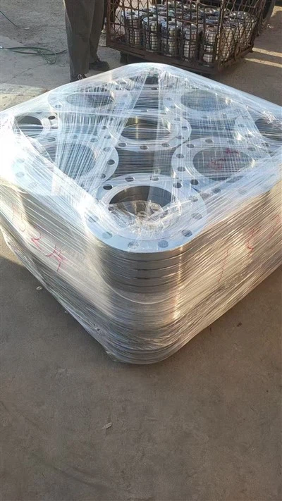 Aghaidh Ardaithe Táthú Soicéad DN500 (SO RF) 316 Flange Cruach Dhosmálta